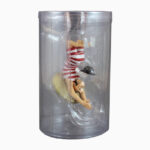 Tim & Struppi, Schultze im Badeanzug