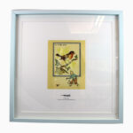 Tim & Struppi, Lithographie, Postkarte Der Vogel